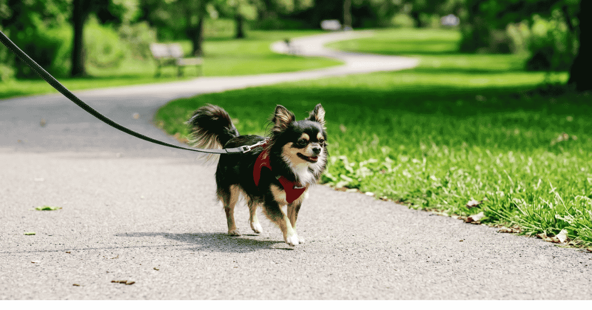 Exercise & Harness Safety info