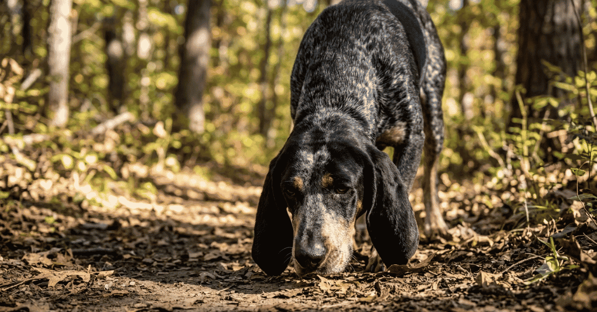 Signature Physical & Functional Traits info