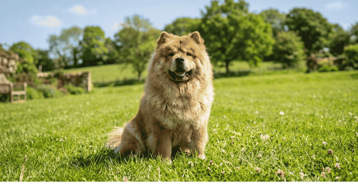 Grooming Myths and Best Practices, For years info