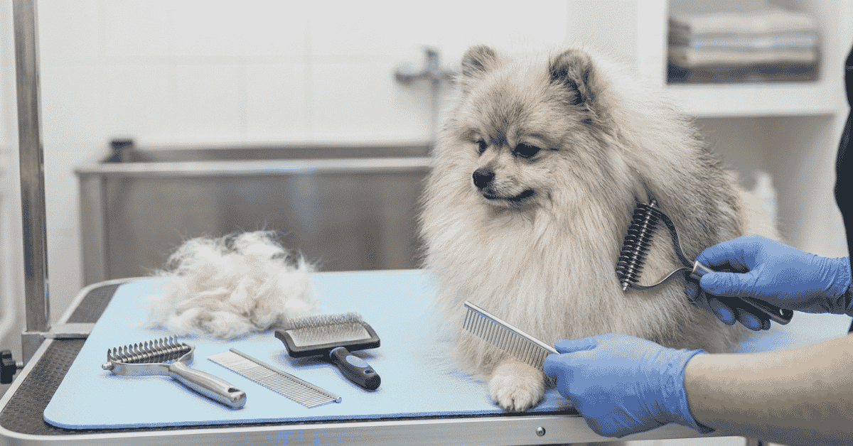 Managing Shedding and Seasonal Blows info