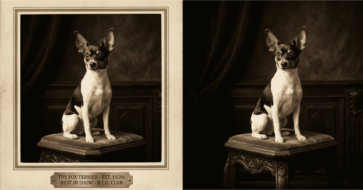 Developing the Toy Breed and Acknowledgment info