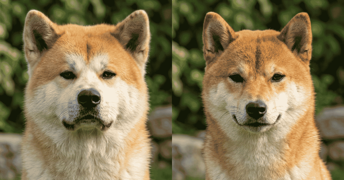 Facial Features and Expression info